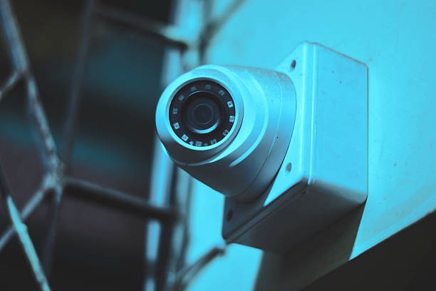 Zaeune fuer effiziente Nutzung im Alltag