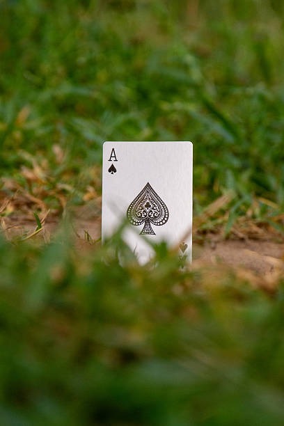 Ultimate Player Guide to Jeux Casino en Ligne Argent Reel